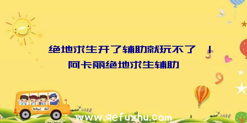 「绝地求生开了辅助就玩不了」|阿卡丽绝地求生辅助